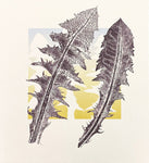 11/6 Dandelion - monotype by Ruth Thomas