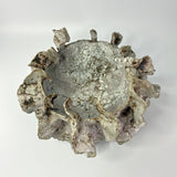 Tidal Pot by Bev Bell-Hughes
