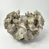 Tidal Pot by Bev Bell-Hughes