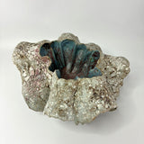 Sand Pocket no.4 by Beverly Bell Hughes
