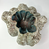 Sand Pocket no.4 by Beverly Bell Hughes