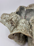 Sand Pocket no.10 by Beverly Bell Hughes