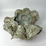 Sand Pocket no.10 by Beverly Bell Hughes