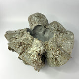 Sand Pocket no.10 by Beverly Bell Hughes