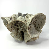 Sand Pocket no.10 by Beverly Bell Hughes