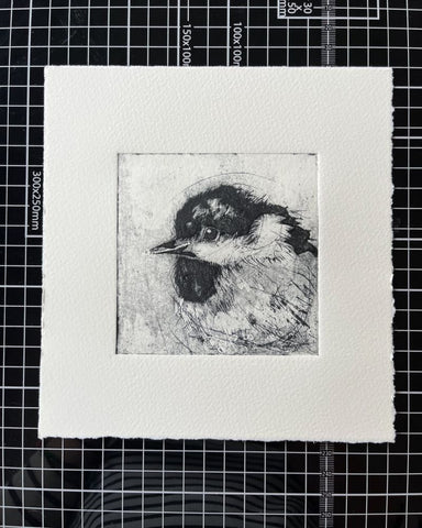 Coal tit collagraph by Marian Haf