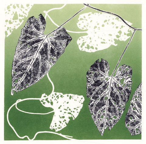 Convolvulus no. 1 print by Ruth Thomas