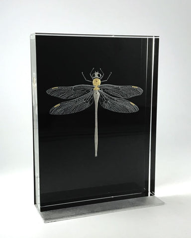 Dragonfly by Nancy Sutcliffe