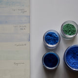 Painting with Nature with Amanda Blake (13th & 14th June)