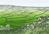 From Graig Fawr by Ruth Thomas