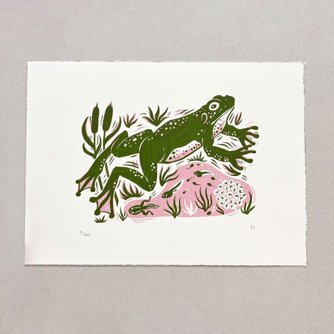 Frog - Screenprint by Folded Forest
