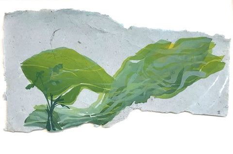 Hillflows by Tara Dean