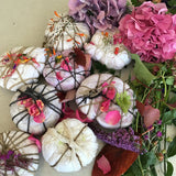 Natural Dye on Fabric (Sunday 19th July 2026)