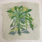 Landtree by Tara Dean