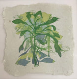 Landtree by Tara Dean