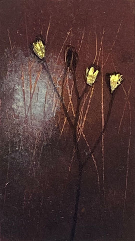 Wild Growth in Autumn by Sasha Kingston