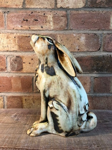 Moongazing Hare by Jan Beeny