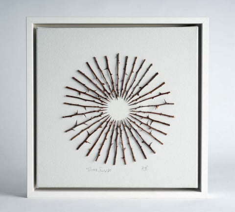 Thorn Sunrise by Jane Bevan