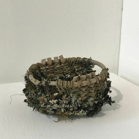 Lichen basket, Miniature Series by Clare Revera