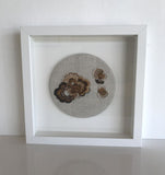 Lichen Study (bronze) by Elin Thomas