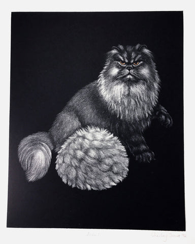 Large Cat Mezzotint: Mine! by Shirley Jones
