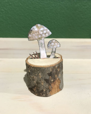 Clustered bonnet mushrooms by Kathryn Willis