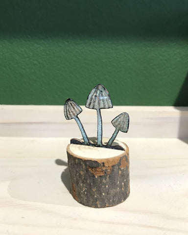 Panthercap mushrooms by Kathryn Willis