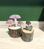 Fly Agaric mushrooms III by Kathryn Willis