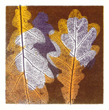 Oak Print 1/1 by Ruth Thomas