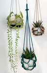 Plant Hanger (small) by Coterie Leather