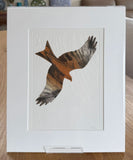Red Kite by Ruth Thomas