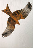 Red Kite by Ruth Thomas