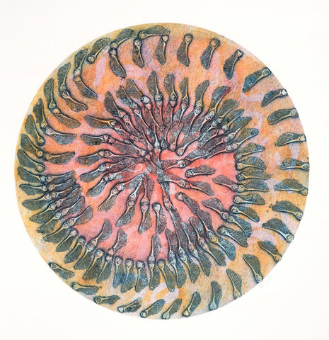 Volute (1/10) by Ruth Thomas