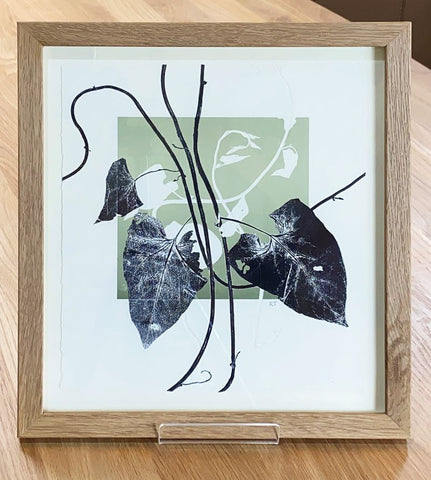 Walking the Dog no.5 (Convolvulus) by Ruth Thomas