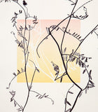 Walking the Dog no.3 (Vetch) by Ruth Thomas