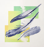 Walking the Dog no.2 (Feathers) by Ruth Thomas