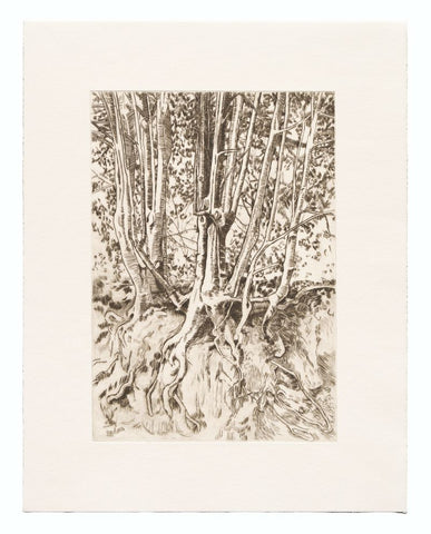 Holly print by Ruth Thomas