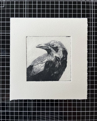 Raven Collagraph by Marian Haf