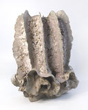 Rib Pocket by Bev Bell Hughes