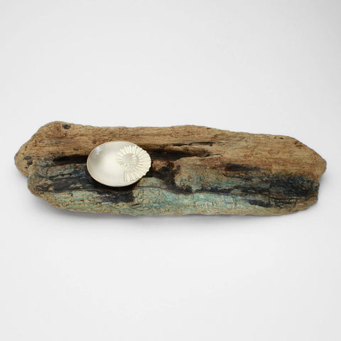 Ammonite bowl on driftwood by Suzie Horan