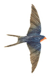 Swallow III by Ruth Thomas
