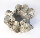 Sand Pocket by Bev Bell-Hughes