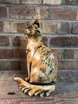 Sitting Cat by Jan Beeny