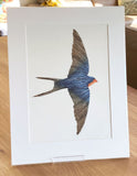 Swallow III by Ruth Thomas