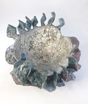Tidal Pot by Bev Bell-Hughes
