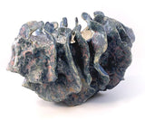 Tidal Pot by Bev Bell-Hughes