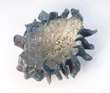 Tidal Pot by Bev Bell-Hughes