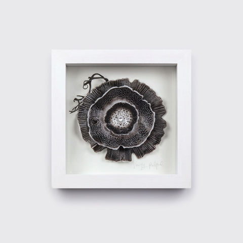 Small Framed Black Glimmer by Verity Pulford