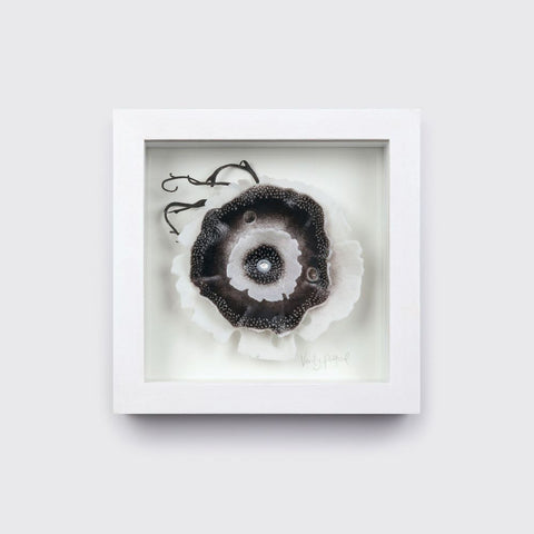Small Framed Black/White Glimmer by Verity Pulford