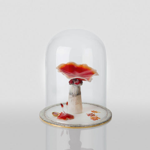 The Healers II (mushroom dome) by Verity Pulford